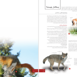 دانلود پی دی اف کتاب اطلس پستانداران ایران PDF