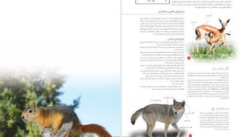 دانلود پی دی اف کتاب اطلس پستانداران ایران PDF