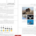 دانلود پی دی اف کتاب اطلس پستانداران ایران PDF