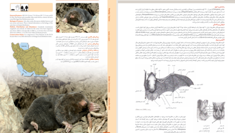 دانلود پی دی اف کتاب اطلس پستانداران ایران PDF