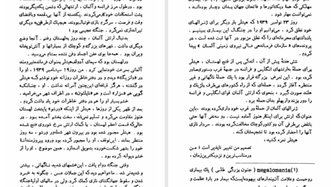 دانلود پی دی اف کتاب ظهور و سقوط آدولف هیتلر PDF