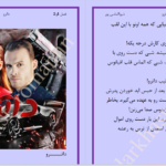 دانلود پی دی اف کتاب داترو شیوا الماسی پور PDF