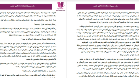 دانلود پی دی اف کتاب سیمرغ مدیا خانم PDF
