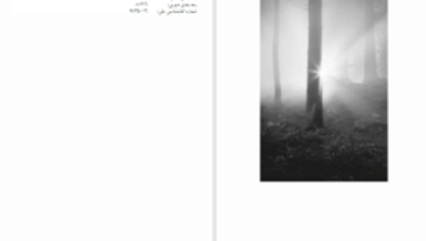 دانلود پی دی اف کتاب نیمه شب رایلی سیجر PDF