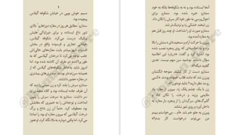 دانلود پی دی اف کتاب رب لوبیای شیرین دورین سوکگاوا PDF