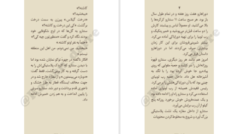 دانلود پی دی اف کتاب رب لوبیای شیرین دورین سوکگاوا PDF