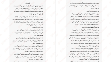 دانلود پی دی اف کتاب سوگند اژدها جلد دوم الیزابت لیم PDF