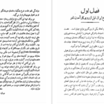 دانلود پی دی اف کتاب نادر شاه مشفق همدانی PDF