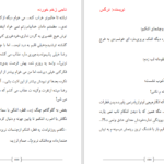 دانلود پی دی اف کتاب ناجی زخم خورده PDF