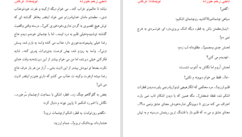 دانلود پی دی اف کتاب ناجی زخم خورده PDF