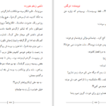 دانلود پی دی اف کتاب ناجی زخم خورده PDF
