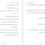 دانلود پی دی اف کتاب ناجی زخم خورده PDF