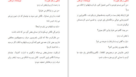 دانلود پی دی اف کتاب ناجی زخم خورده PDF