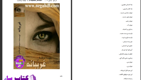 دانلود پی دی اف کتاب غریبانه سپیده فرهادی PDF
