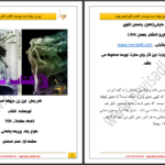 دانلود پی دی اف کتاب این زن دیوانست افتاب PDF