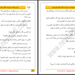 دانلود پی دی اف کتاب این زن دیوانست افتاب PDF