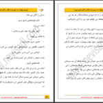 دانلود پی دی اف کتاب این زن دیوانست افتاب PDF