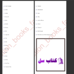 دانلود پی دی اف کتاب ما شروعش می‌کنیم کالین هوور PDF