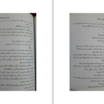دانلود پی دی اف کتاب سرکش PDF