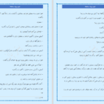 دانلود پی دی اف کتاب اولین پریزاد محافظ ۲ PDF