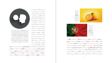 دانلود پی دی اف کتاب زبان پریشی و افلاس قلم ائوشاهوفسکی PDF