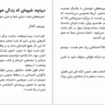 دانلود پی دی اف کتاب فکر و خیال زیادی ممنوع ان بوگل PDF