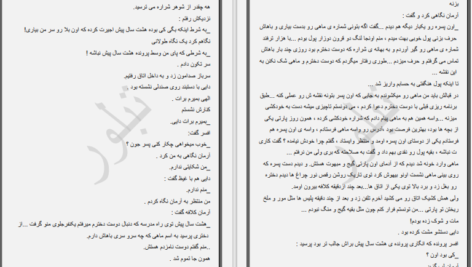 دانلود پی دی اف کتاب رقص سایه ها PDF