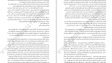 دانلود پی دی اف کتاب دو نیمه ی سیب 2 PDF