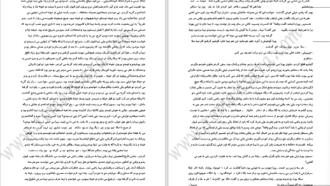 دانلود پی دی اف کتاب دو نیمه ی سیب 2 PDF