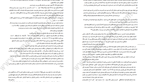 دانلود پی دی اف کتاب دو نیمه ی سیب 2 PDF