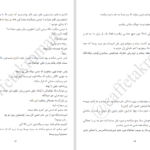 دانلود پی دی اف کتاب ملکه ی خون خوار PDF
