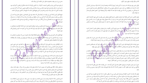 دانلود پی دی اف کتاب قصر نفرین شدگان جلد سوم دارن شان PDF