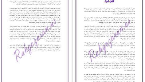 دانلود پی دی اف کتاب قصر نفرین شدگان جلد سوم دارن شان PDF