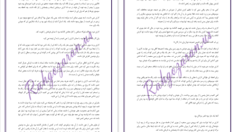 دانلود پی دی اف کتاب قصر نفرین شدگان جلد سوم دارن شان PDF