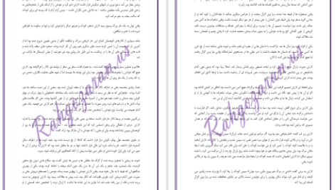 دانلود پی دی اف کتاب قصر نفرین شدگان جلد سوم دارن شان PDF