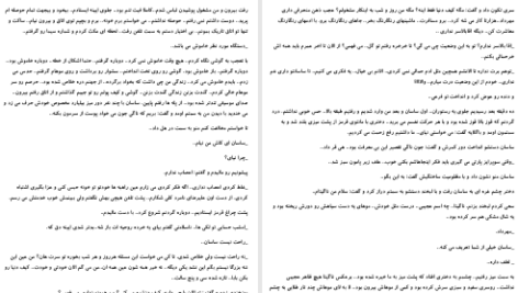 دانلود پی دی اف کتاب نعره شیر مامچیکا PDF