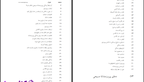 دانلود پی دی اف کتاب زندگی پیروزمندانه مسیحی رایت، ان. تی PDF