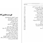 دانلود پی دی اف کتاب جراح دیوانه یورکن توروالت PDF