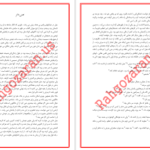 دانلود پی دی اف کتاب جلاد لاغر دارن شان PDF