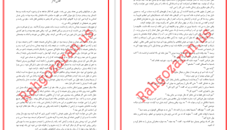 دانلود پی دی اف کتاب جلاد لاغر دارن شان PDF