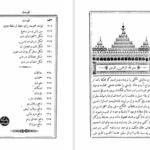 دانلود پی دی اف کتاب بلوغ الابتهاج فی صحه الازدواج محمد شیرازی PDF