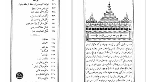 دانلود پی دی اف کتاب بلوغ الابتهاج فی صحه الازدواج محمد شیرازی PDF