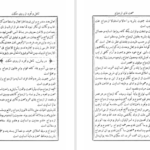 دانلود پی دی اف کتاب بلوغ الابتهاج فی صحه الازدواج محمد شیرازی PDF