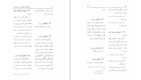 دانلود پی دی اف کتاب فرهنگ اصطلاحات سخن آرائی علی اصغر مرادی PDF