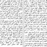 دانلود پی دی اف کتاب بیگانه PDF