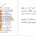 دانلود پی دی اف کتاب مراقبت از زخم PDF