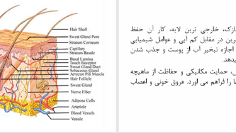 دانلود پی دی اف کتاب مراقبت از زخم PDF