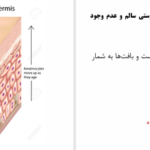 دانلود پی دی اف کتاب مراقبت از زخم PDF