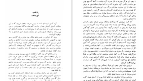 دانلود پی دی اف کتاب ریشه در خاک پرل باک PDF