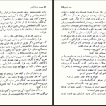دانلود پی دی اف کتاب دیدار بلوچ محمود دولت‌آبادی PDF